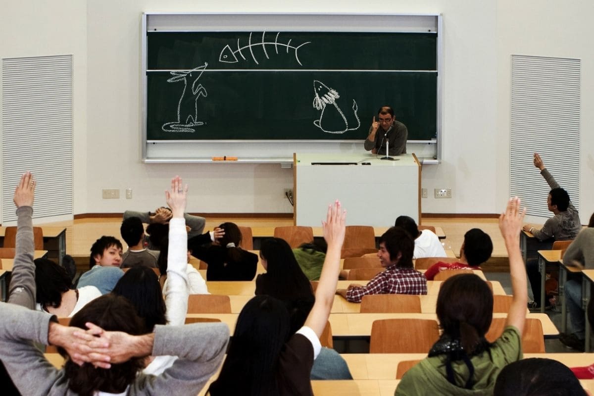 Diagnóstico do Ensino de Medicina Veterinária no Brasil: O Desafio da Qualidade