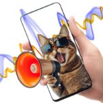 Novas Regras de Publicidade na Medicina Veterinária: O Guia Essencial para a Prática Ética e Responsável