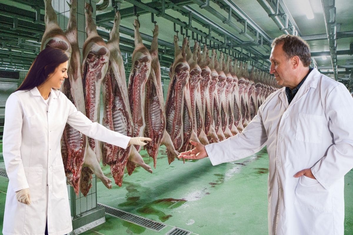 Portaria MAPA nº 861/2025 Regulamenta Credenciamento e Redefine o Apoio Veterinário no SIF