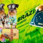 Viagem de Pets no Mercosul: Desvende a Portaria MAPA nº 741/2024 e o Novo CVI Obrigatório