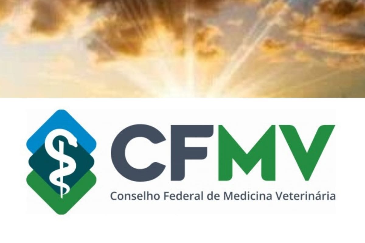 Conheça o Conselho Federal de Medicina Veterinária (CFMV): O Pilar Essencial da Profissão no Brasil