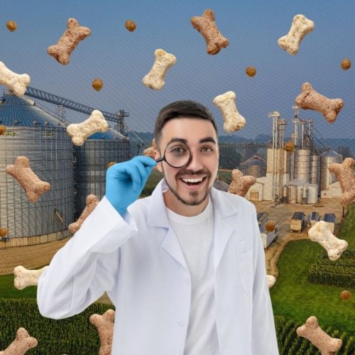 Decreto 12.502/2025: As Novas Regras da Fiscalização Agropecuária e o Impacto Essencial para o Médico Veterinário