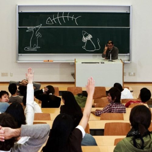 Diagnóstico do Ensino de Medicina Veterinária no Brasil: O Desafio da Qualidade