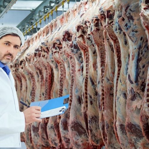 Inspeção de Abate: O Decreto nº 12.711/2025 e a Nova Era da Segurança Alimentar no Brasil