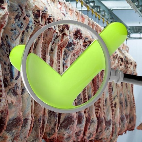 Decreto 12.126/2024: O Guia Essencial para os Programas de Autocontrole e a Nova Era da Fiscalização Agropecuária