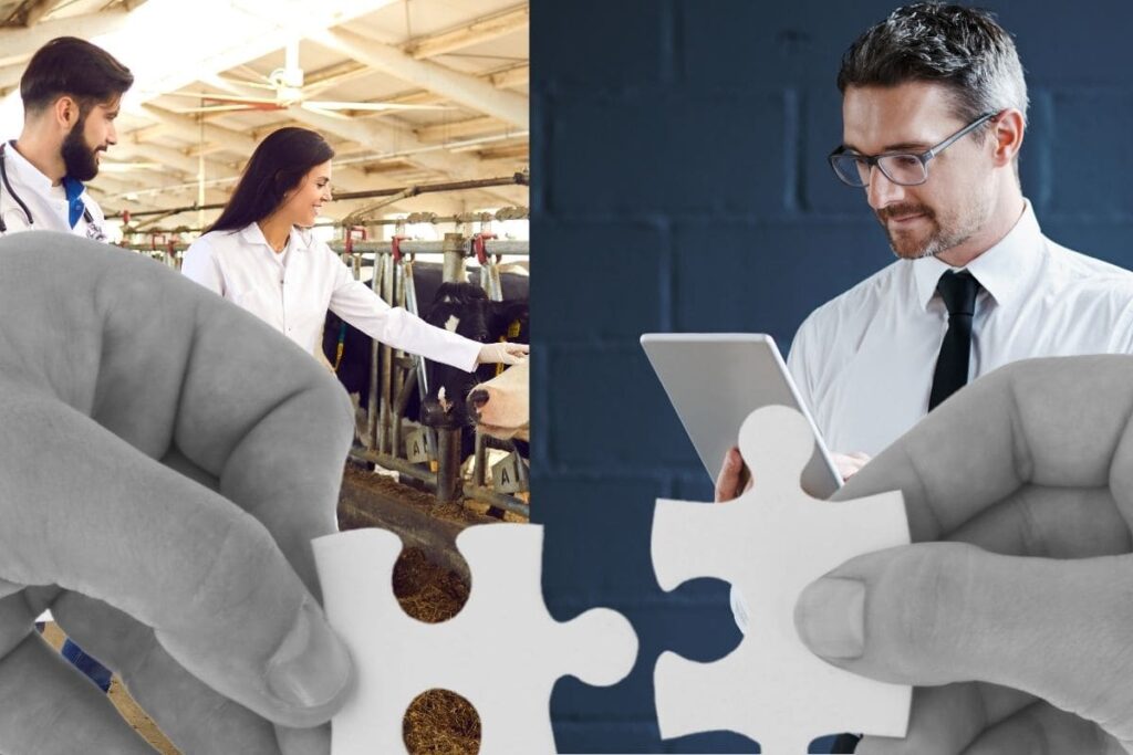 Conectando Profissionais e Empresas de Forma Legal
