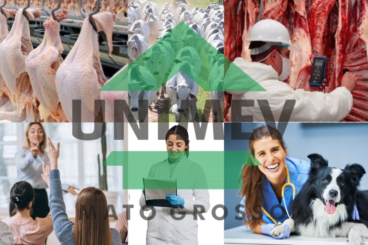 Unindo a Medicina Veterinária